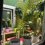 Homestay Light & Modern 3br Garachico (Tenerife)