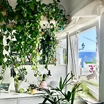 Homestay Light & Modern 3br *