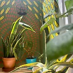 Light & Modern 3br * Garachico (Tenerife)