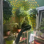 Homestay Light & Modern 3br *