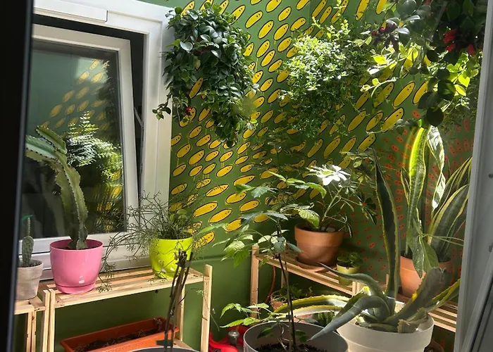 Privatunterkunft Light&modern 3br Garachico (Tenerife)